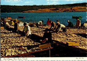 Drying Fish at Terence Bay, Nova Scotia Canada Postcard I68