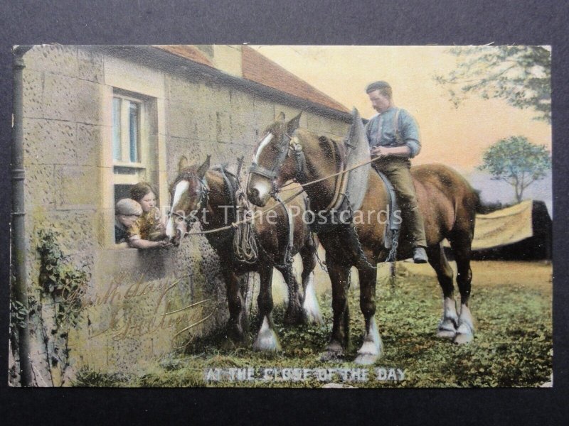 Country Scene SHIRE HORSE AT HE END OF THE DAY c1906 by Wildt & Kray 704 F