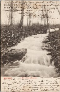 Montreal Quebec A Bit Of The Mountain Water Stream 1905 Illustrated Postcard E93