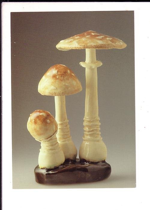 Panther Agaric Mushroom, Ceramic, Nova Scotia Museum Natural History, Halifax,