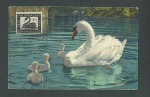 Ca 1984 PPC White Swan & Cygnets W/Australia 100 Yr Celebration Stamp