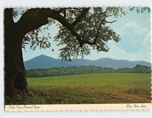 Postcard Cades Cove Pastoral Scene, Great Smoky Mountains National Park, TN