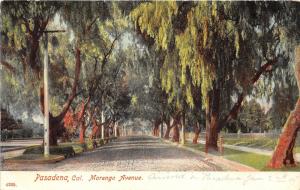 Pasadena California~Marengo Avenue in Neighborhood~Willow? Trees~c1910 Postcard