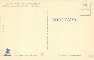 Big tunnel, needles Highway Custer State Park