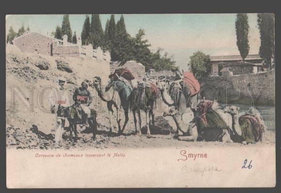 098053 TURKEY SMYRNE-IZMIR CAMEL CARAVAN Vintage tinted PC