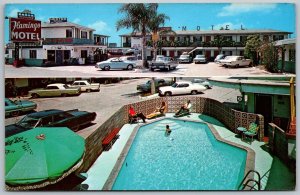 San Ysidro California 1960s Postcard Flamingo Motel Swimming Pool
