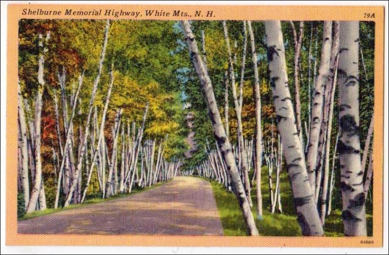 Shelburne Memorial Highway, White Mts NH