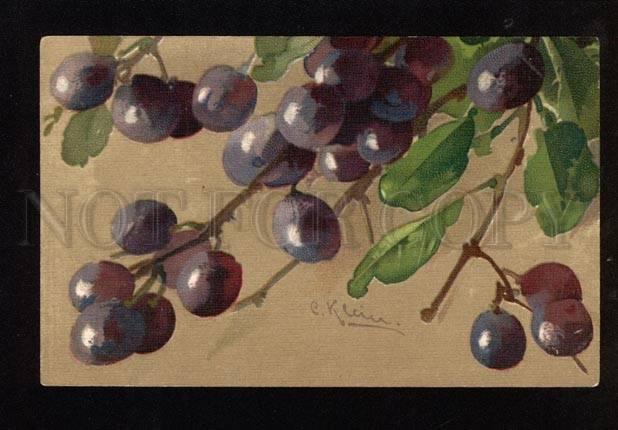048881 PLUMS on Tree by C. KLEIN vintage GOM 1672 PC