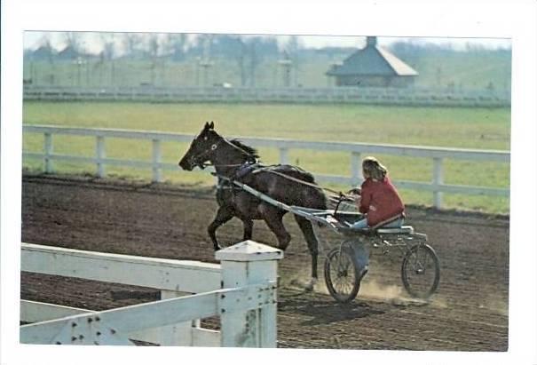 LP112   Lexington, Kentucky, Horse Racing, Sulky Training, 