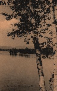 Vintage Postcard 1941 Mt. Cardigan Tree Mountain Newfound Lake New Hampshire NH