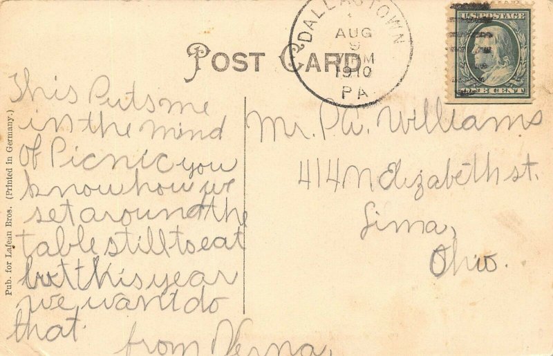 LP98 Liverpool Pennsylvania  Postcard Picnic Grounds 