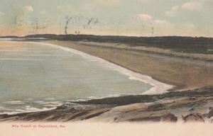 Mile Beach at Seguinland, Maine near Portland - pm 1909 - UDB