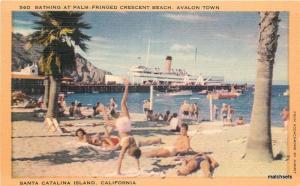 1940s Bathing Palm Fringed Crescent Beach Santa Catalina Island California 11189