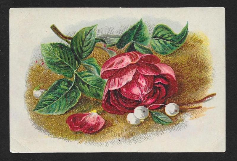 VICTORIAN TRADE CARD Petzelt's Pharmacy