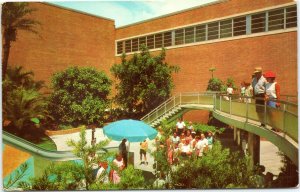 postcard Tampa, Florida -Busch Gardens Cantilever Ramp