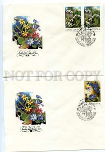 440565 USSR 1983 year set of FDC Sushchenko Flora USSR flowers