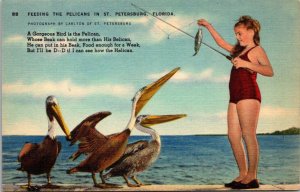 Florida St Petersburg Young Girl Feeding The Pelicans