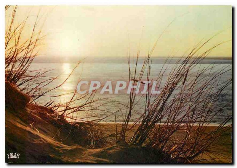 Modern Postcard Atlantic Coast Sunset on the Ocean Oyats