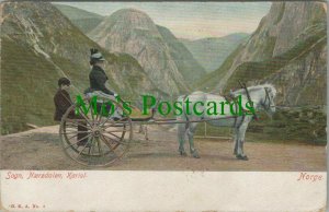 Norway Postcard - Sogn, Naerodalen, Kariol     RS25901