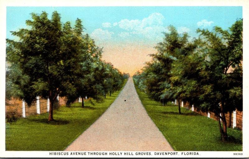 Florida Davenport Hibiscus Avenue Through Holly Hill Groves