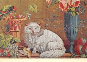 Cat Post Card Wallpaper Unused