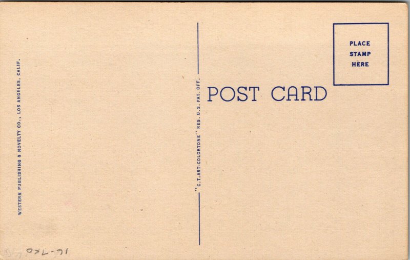 Vtg 1930s University of California at Los Angeles Westwood Hills CA Postcard