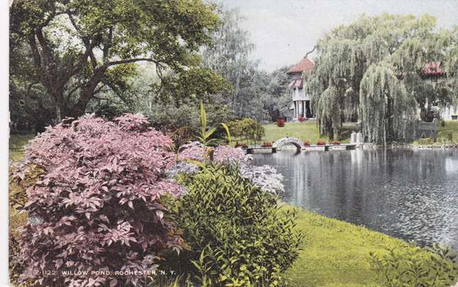 View at Willow Pond, Rochester, New York - DB