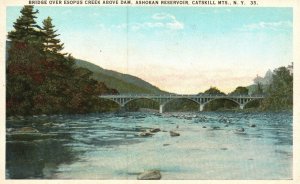 Vintage Postcard Bridge Over Esopus Creek Above Dam Catskill Mountains New York