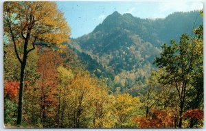 M-55828 The Chimney Tops In Beautiful Fall Colors Great Smoky Mountains Natio...