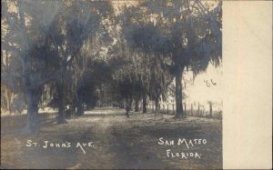 San Mateo Florida FL St. John's Ave c1905 Real Photo Postcard