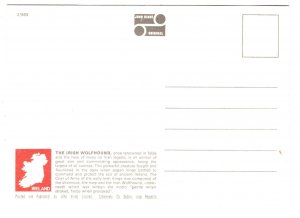 Irish Wolfhounds. Ireland, Dogs