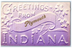 c1910 Greetings from Plymouth Indiana IN Embossed Airbrush Violet Postcard