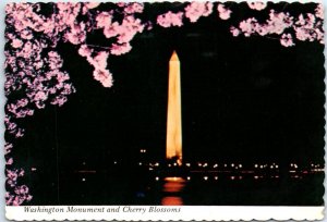 M-45026 Washington Monument Cherry Trees Blossom Time District of Columbia USA