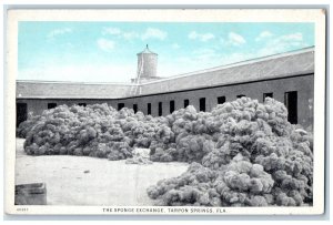 c1930's The Sponge Exchange Tarpon Springs Florida Florida FL Vintage Postcard