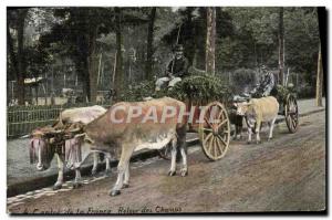 Old Postcard France coupling the center Return of Oxen fields