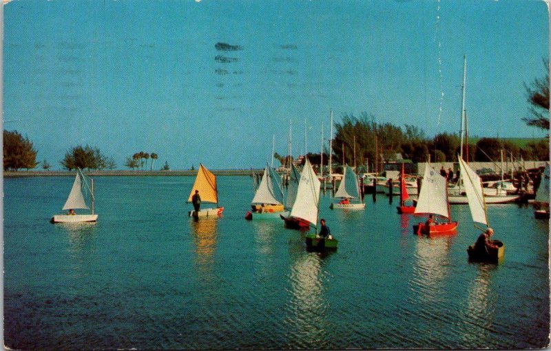 Florida St Petersburg Prams Sailing At Sunshine Boat Club Basin 1963