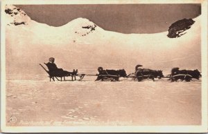 Switzerland Polarhunde auf Firn bei Station Jungfraujoch Vintage Postcard C217