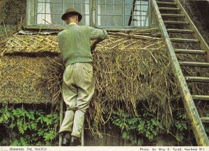 Roof Thatching At Sussex Postcard