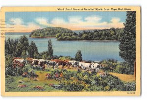 Cape Cod Massachusetts MA Postcard 1941 Rural Scene at Beautiful Mystic Lake