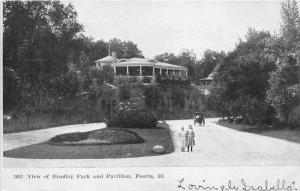 Peoria Illinois~Bradley Park & Pavillion~Girs Posing~Carriage~See Note~c1910 Pc