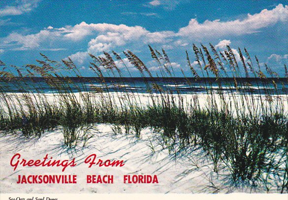 Greetings From Jacksonville Beach Florida