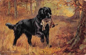 Retriever Black Lab Labrador Dog Sporting Dogs Series Tuck 1910c postcard