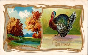 Antique 1910 Thanksgiving greetings embossed turkey postcard