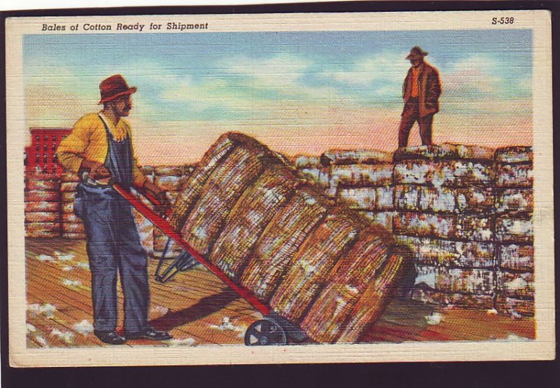 P1586 vintage unused postcard workers bales of cotton ready for shipment