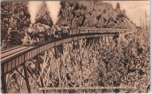 SISKIYOU COUNTY, CA California Railroad Train DOLLARHIDE TRESTLE  Postcardc1910s