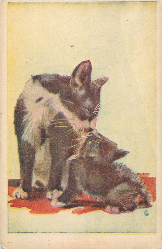 Drawn cats artist postcard Hungary