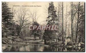 Old Postcard Nantes A corner of the Botanical Garden