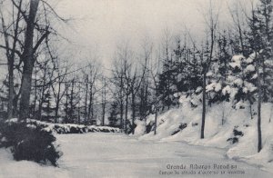 Grande Alberga Italy In Snow Paradisa Antique Postcard