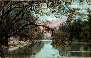 View of River, Away Down the Suwanee River Vintage Postcard E78