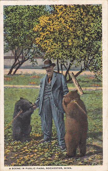 Bears A Scene In Public Park Rochester Minnesota 1919